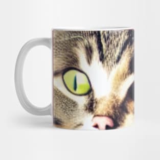 catbeautiful gift Mug